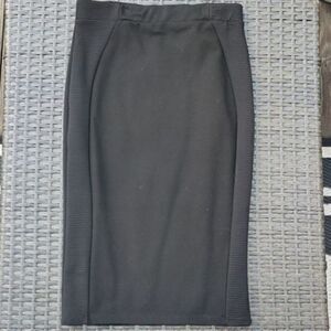 Brand New Zara Skirt